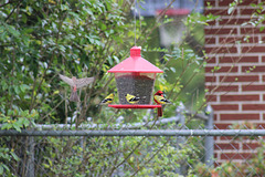 We all come share lunch. :)