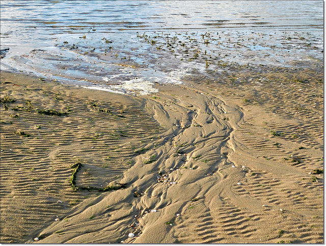 Traces laissées par la marée au bord de Rance maritime(22)