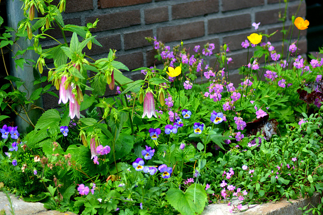 A litle corner in the garden...