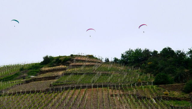 DE - Dernau - Flieger über den Weinbergen