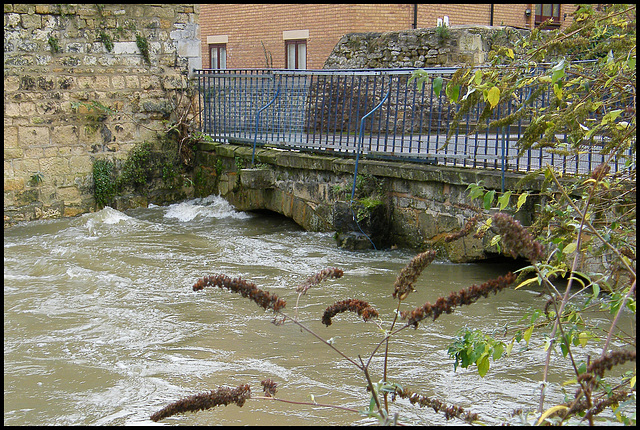 high water in Paradise