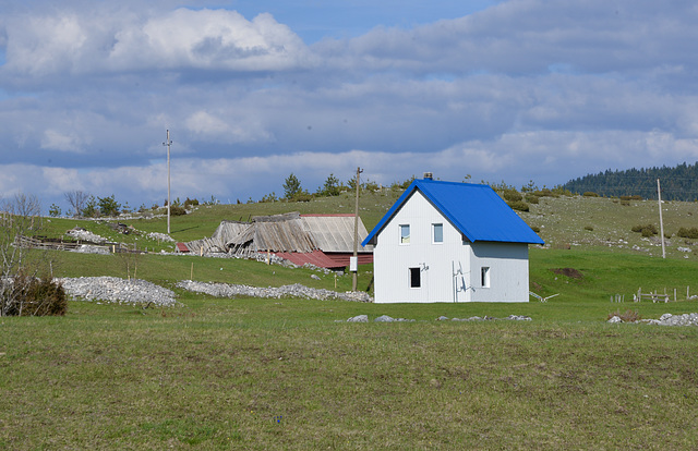 Blue roof.