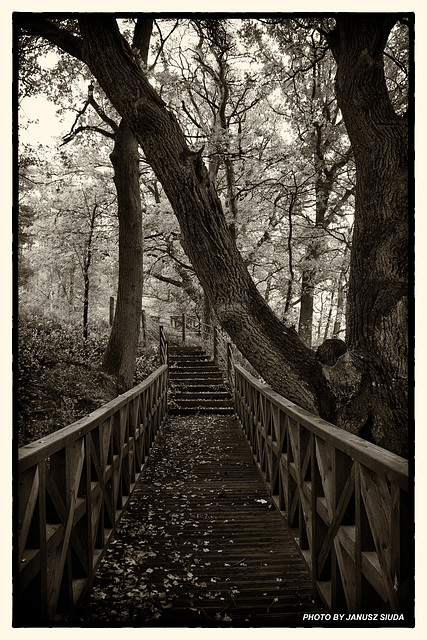 Towering over the the bridge...