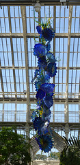 Dale Chihuly Retrospective at Kew Gardens