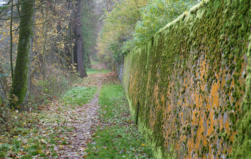 Weg an der Waldnaab