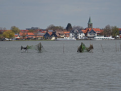 Reusen vor Steinhude