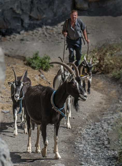 Oeschinensee Oeschinensee
