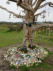 The Fairy Tree