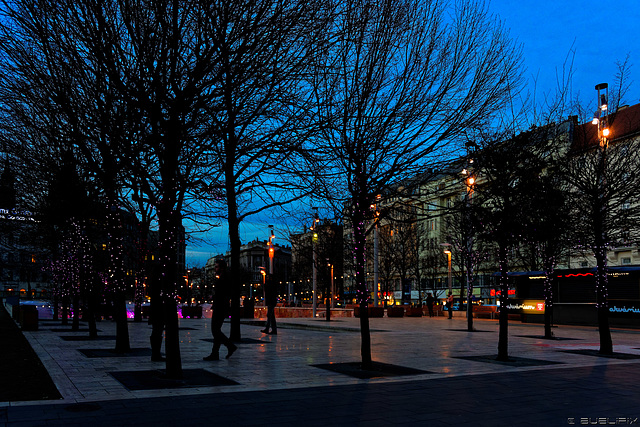 zur Blauen Stunde in Budapest (© Buelipix)