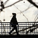 Silhouette sur un pont