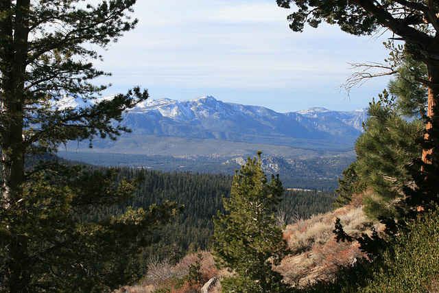 Off the Tahoe Rim trail.