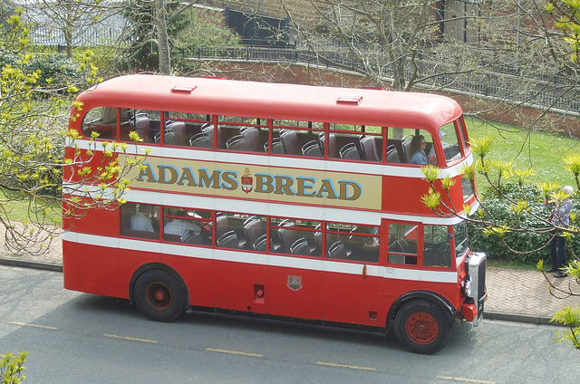 DSCF1341 Former Northampton C T 154 (ANH 154) at the Wellingborough Museum Bus Rally - 21 Apr 2018