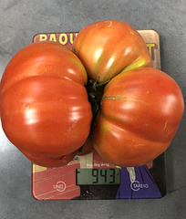 TOMATE 943 grammes