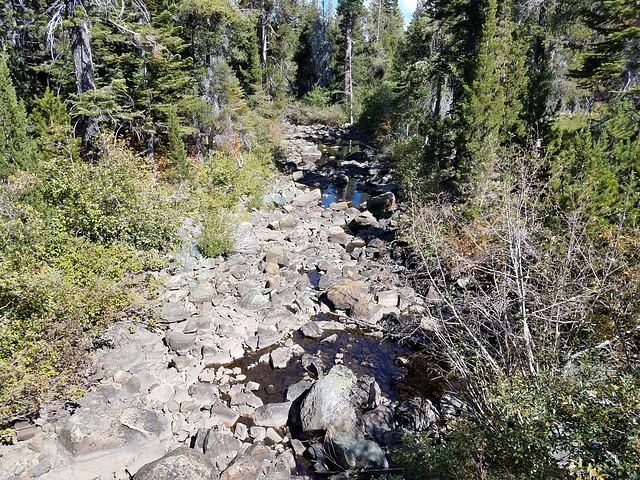 View downstream