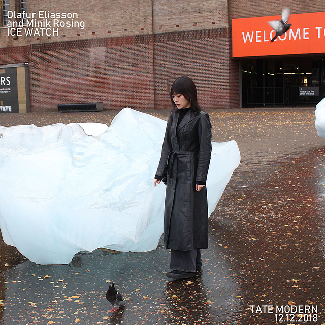 London - Ice Watch - an  installation by Olafur Eliasson & Minik Rosing - 12.12.2018