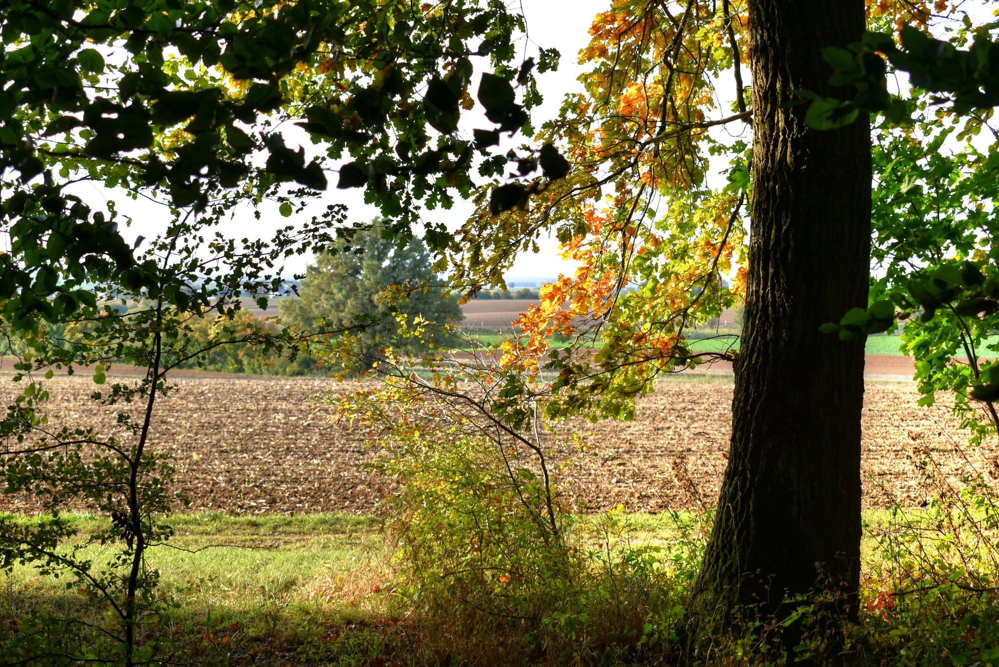 Es wird bunt