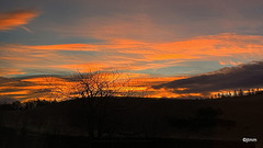 Winter Dawn Skies