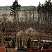 20250405_Wanderung um Benneckenstein