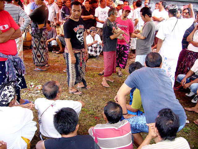 Cockfight, Jimbaran, Bali - 5415494307 c2095c7328 o