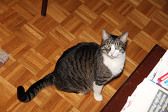 IMG 0507