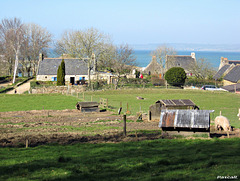 le hameau des Plomarc'h DOUARNENEZ le hameau des Plomarc'h DOUARNENEZ