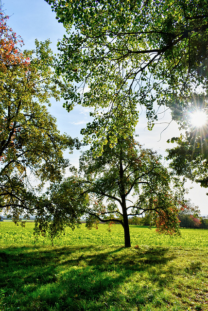 Licht und Schatten