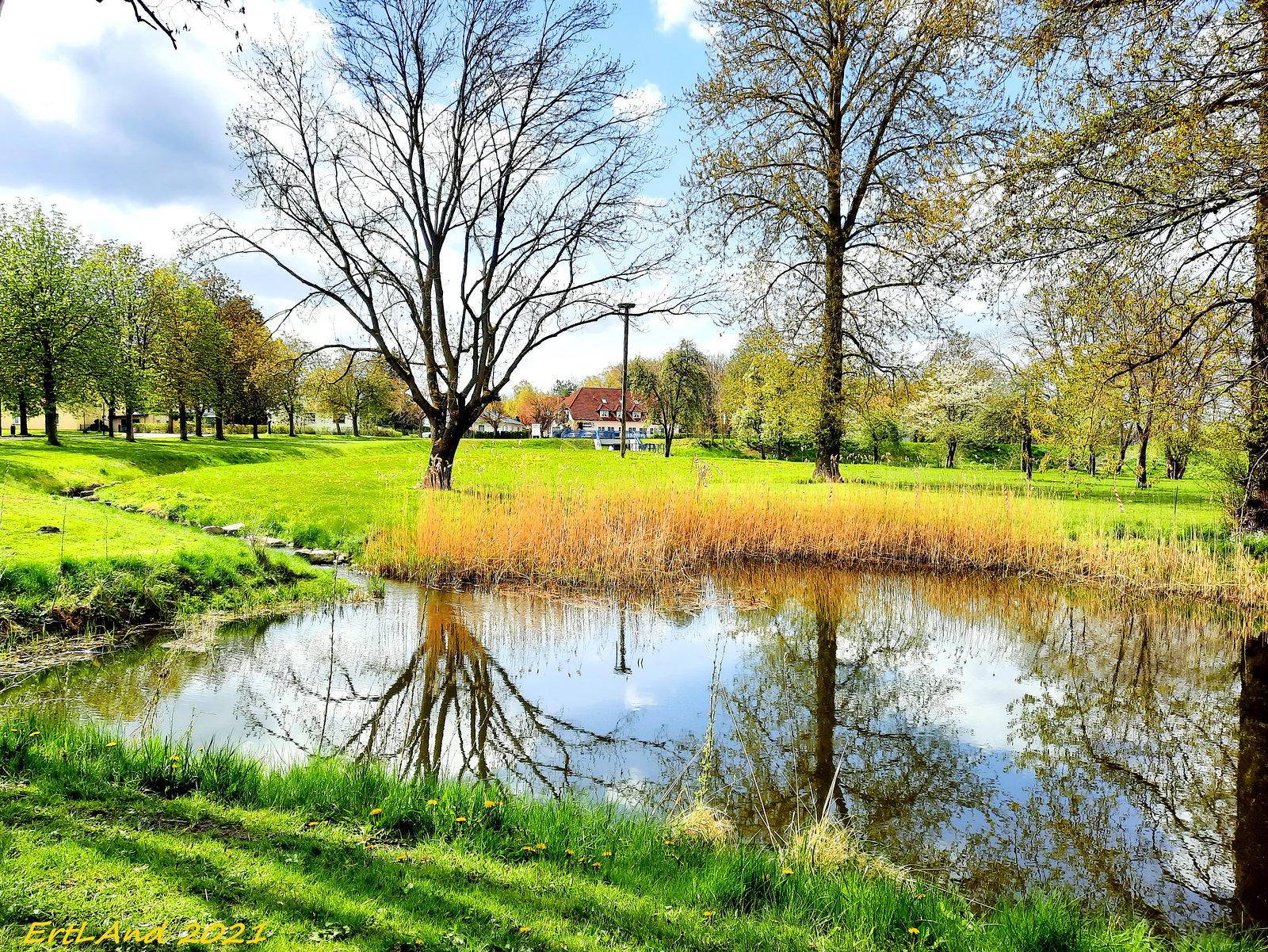 Kleiner Teich