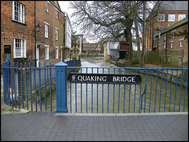 Quaking Bridge