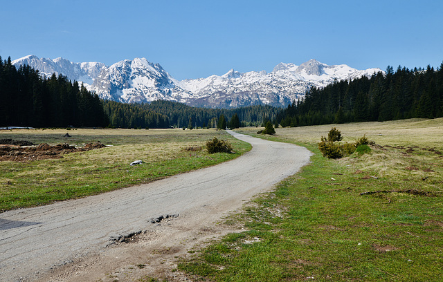 Towards Žabljak.