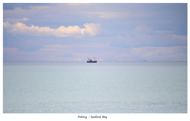 Fishing Seaford Bay 29 9 2023