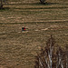 20250405_Wanderung um Benneckenstein