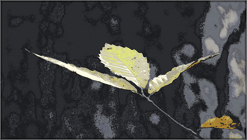 Vision d'automne