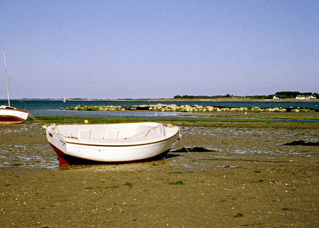 Warten auf die Flut