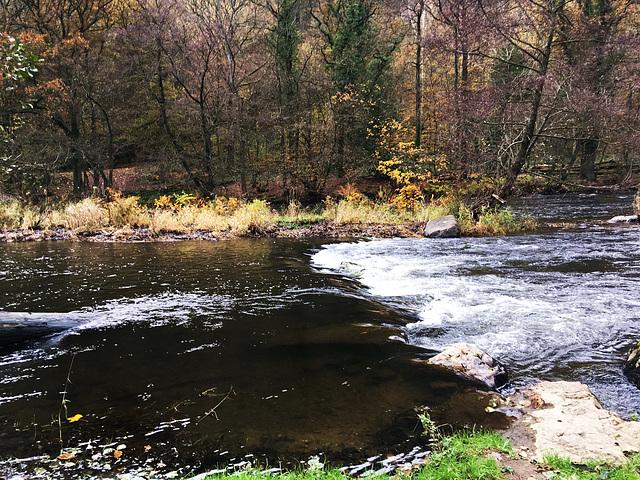 Vallée de l'Amblève