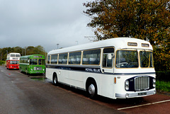 Classic Buses in Fareham (8) - 1 November 2020