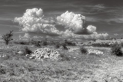 Le plateau de Saint Barnabé.