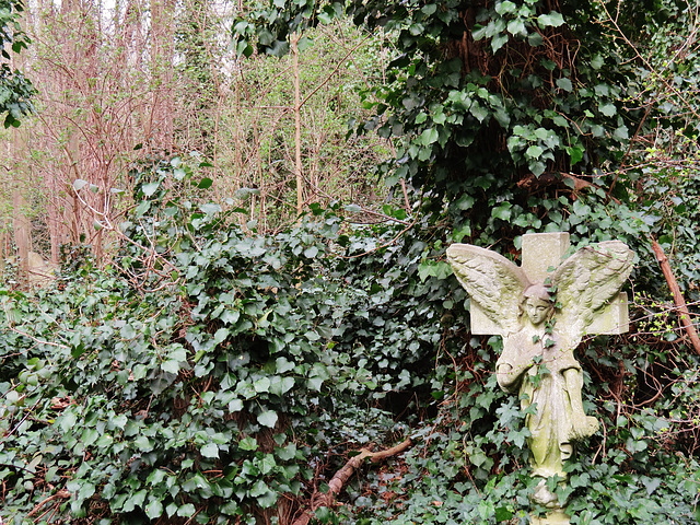 abney park cemetery, london,parts of the cemetery remain overgrown