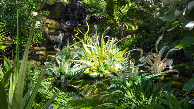 Dale Chihuly Retrospective at Kew Gardens