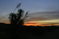 Big Bend Sunset