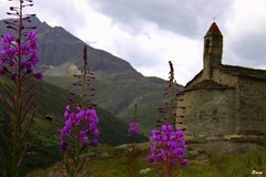 Chapelle du hameau l'écot (Hte Maurienne)