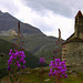Chapelle du hameau l'écot (Hte Maurienne)
