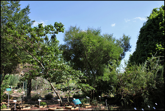 Jardin botanique de La Charme -63 (1)