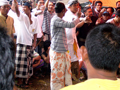 Cockfight, Jimbaran, Bali - 5415496479 04fe06024b o