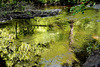 Reflections on the River Derwent, Forge Valley, North Yorkshire