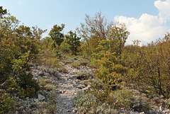 Nationalpark Paklenica - Auf dem Weg nach Starigrad nahe Aussicht Anica kuk