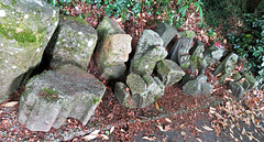 bodmin church, cornwall (11)