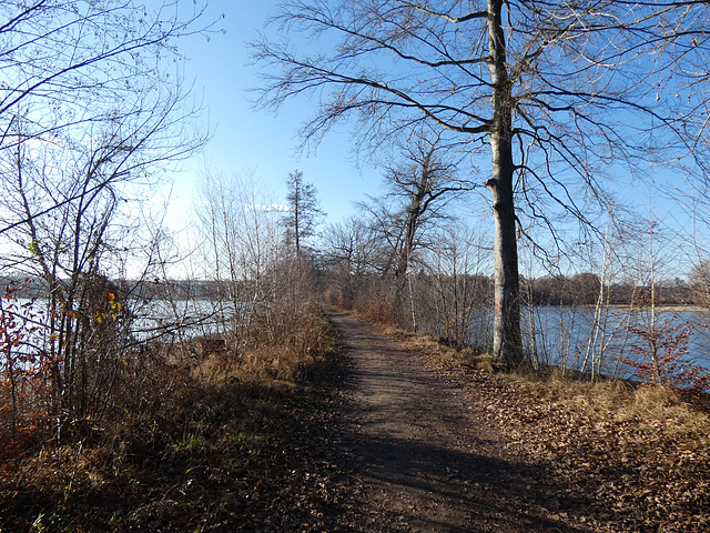 Allee Richtung Teublitz