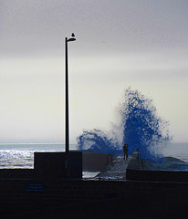 Hier matin le photographe le goeland et la mer effet papillon