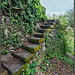 Treppe zum Weinglück