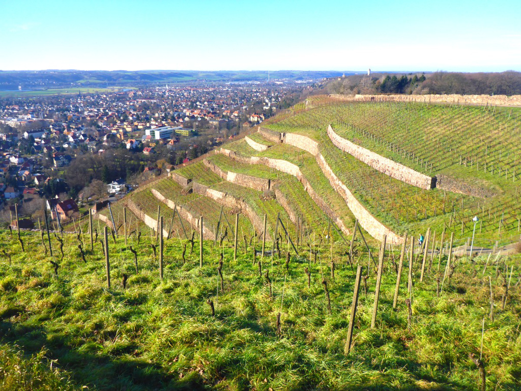 Spaziergang beim 'Spitzhaus' - Radebeul - 6.12.2015